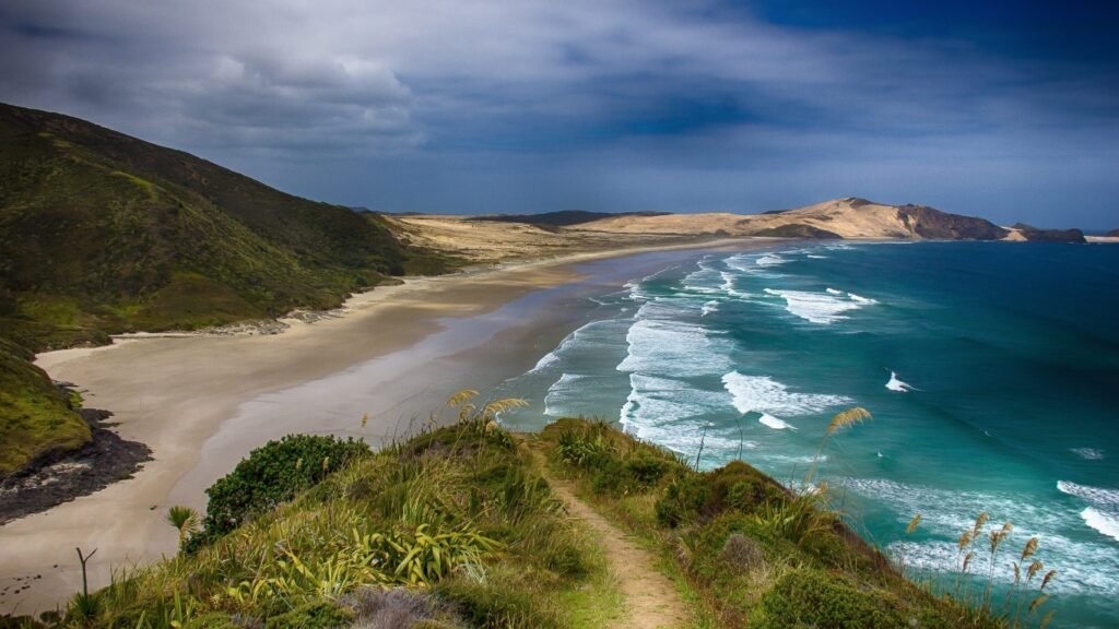Microplastic-free organic foundations and mineral pigments protecting New Zealand's environment